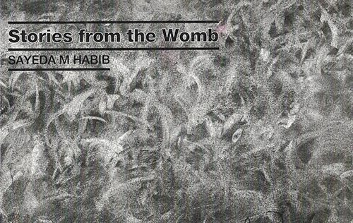 Stories from the Womb Sayeda Habib Catalogue